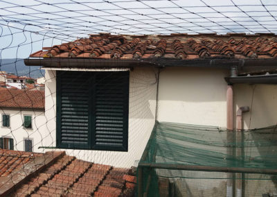 Reti anti piccioni Firenze Pistoia Quarrata