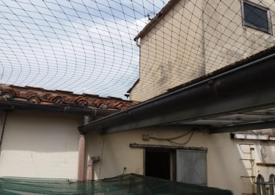 Reti anti piccioni Firenze Pistoia Quarrata