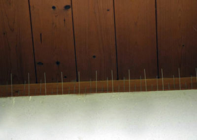 installazione spilli e reti anti volatili