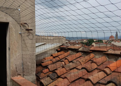 Reti anti piccioni Firenze Pistoia Quarrata